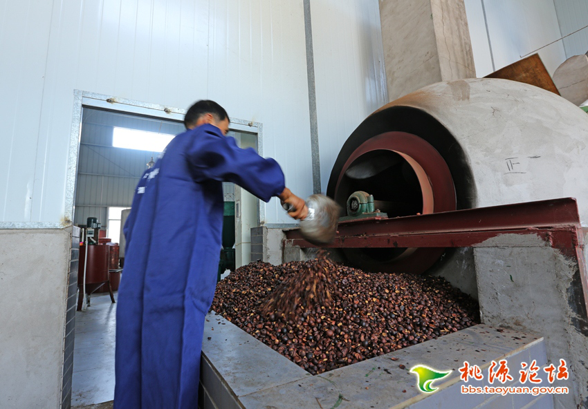 九游会J9,油茶莳植生产加工销售,植物油莳植生产加工销售