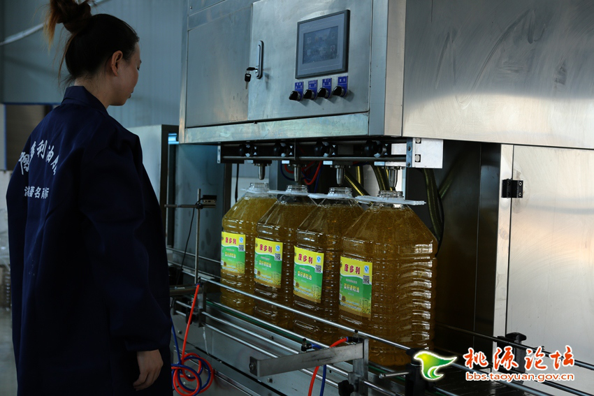 九游会J9,油茶莳植生产加工销售,植物油莳植生产加工销售