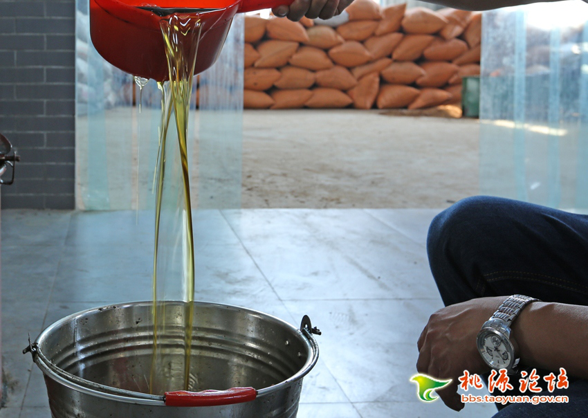 九游会J9,油茶莳植生产加工销售,植物油莳植生产加工销售