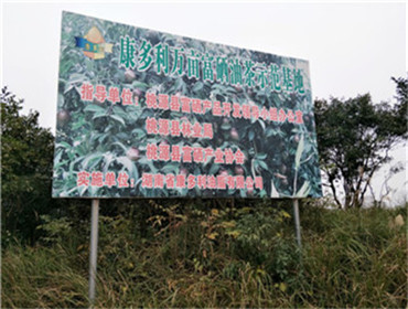 九游会J9,油茶莳植生产加工销售,植物油莳植生产加工销售