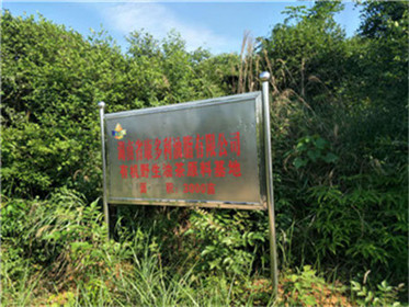 九游会J9,油茶莳植生产加工销售,植物油莳植生产加工销售